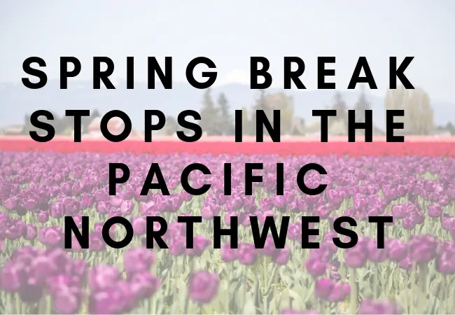 7 Spring Break Stops In the Pacific Northwest