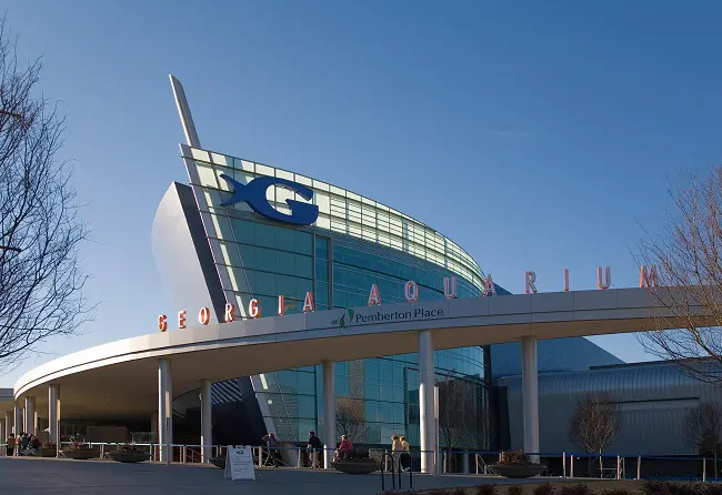 georgia aquarium