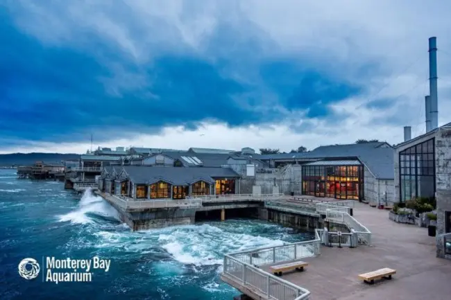 monterey bay aquarium