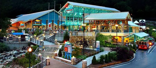 ripley's aquarium of the smokies