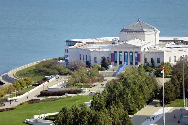 shedd aquarium