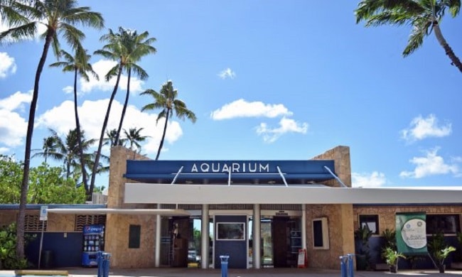 awaikiki aquarium