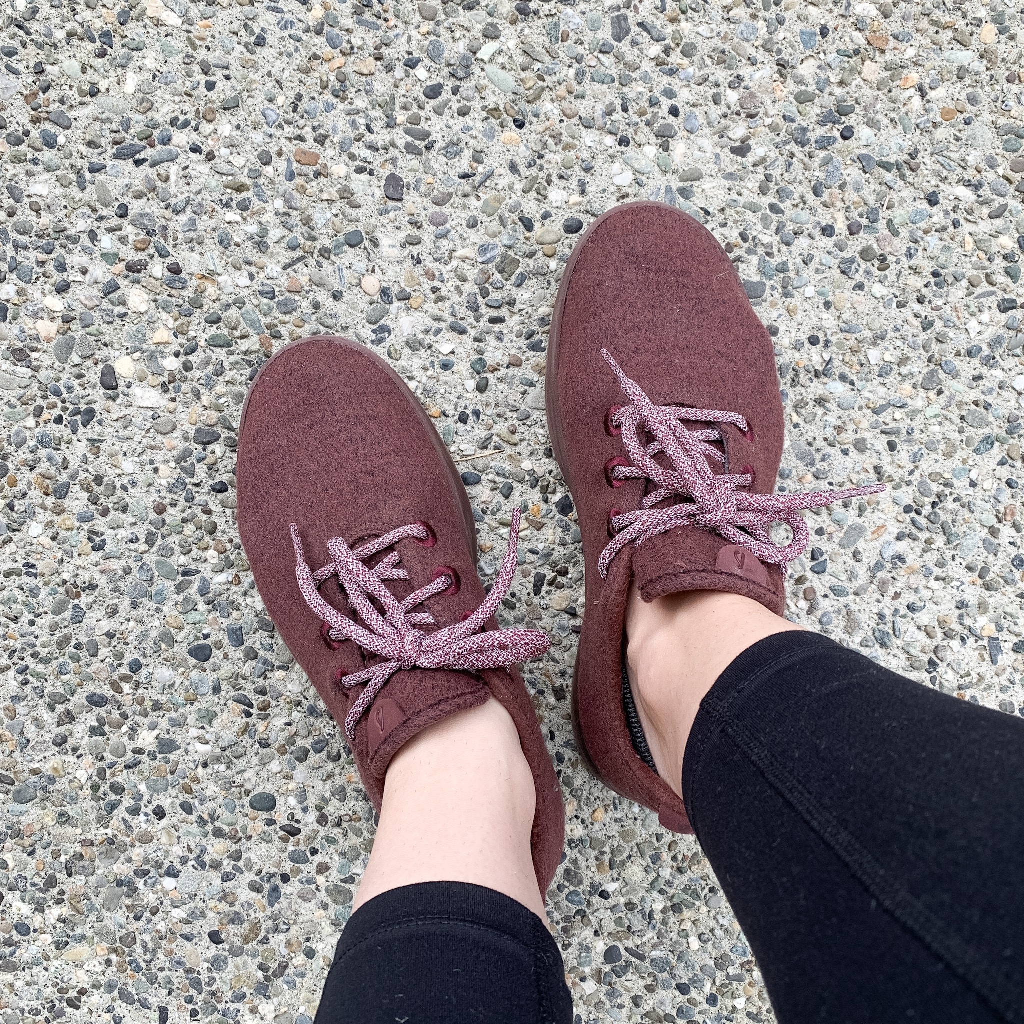 Allbirds shoes on concrete