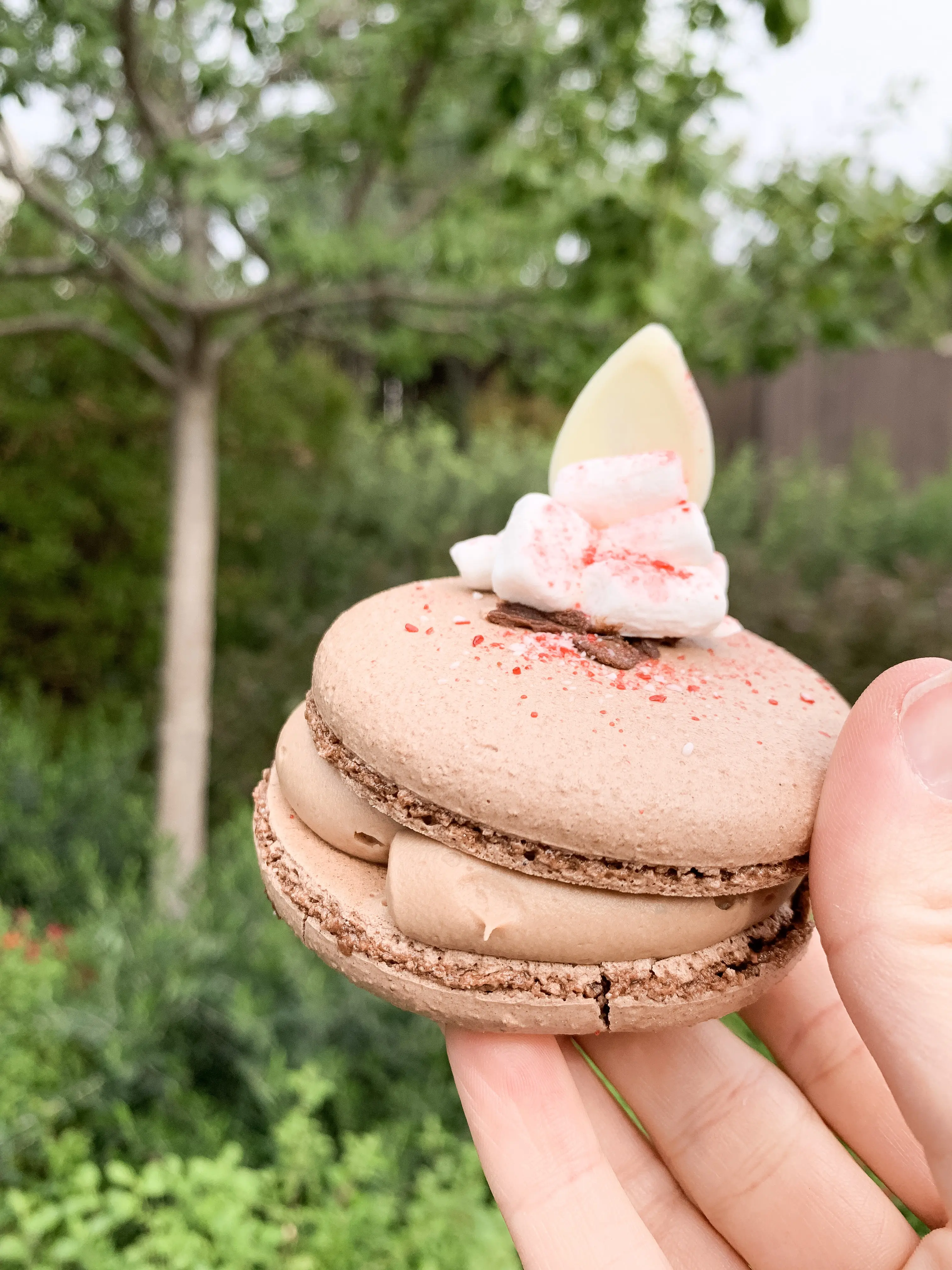 hot cocoa macaroon