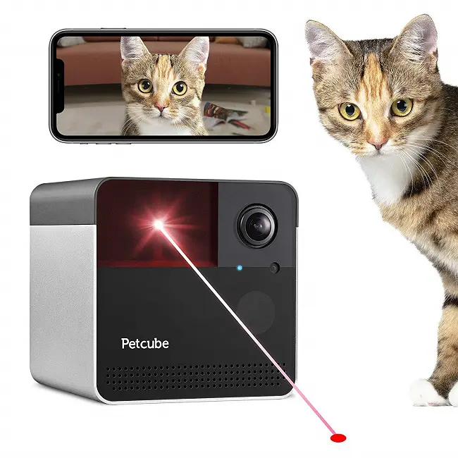 pet camera