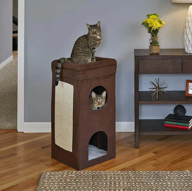 cat condo