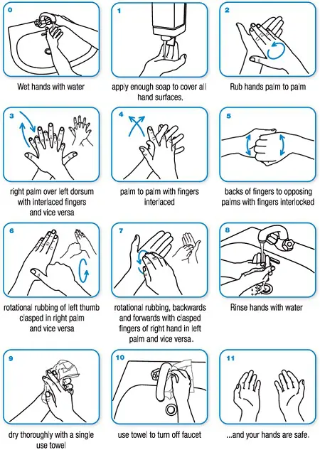 The 7 Best Hand Washing Songs for Kids –