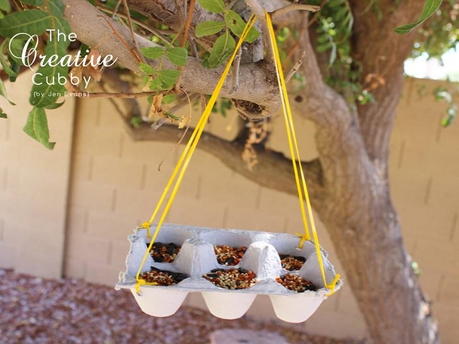 bird feeder with egg carton hanging from tree