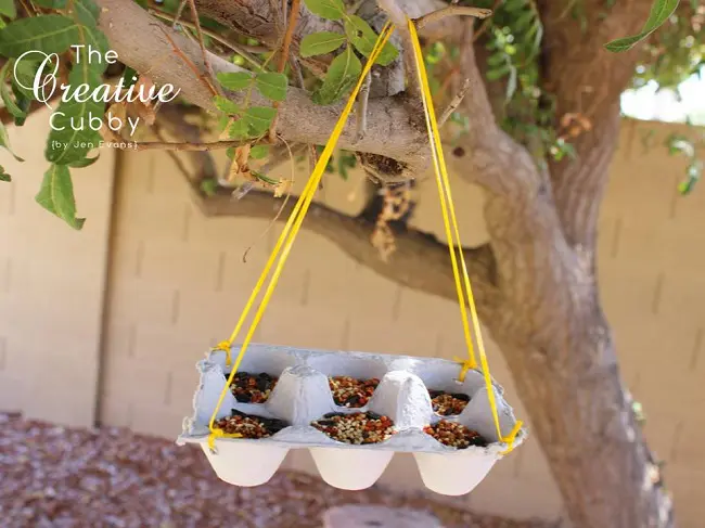 bird feeder with egg carton hanging from tree