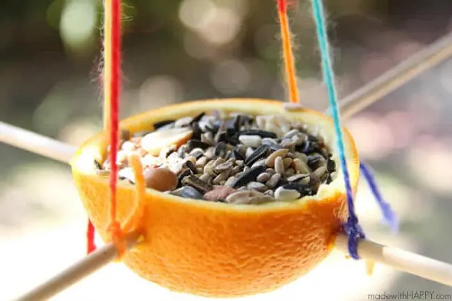 bird feeder made out of an orange