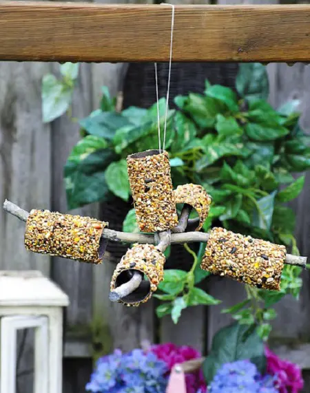 bird feeder