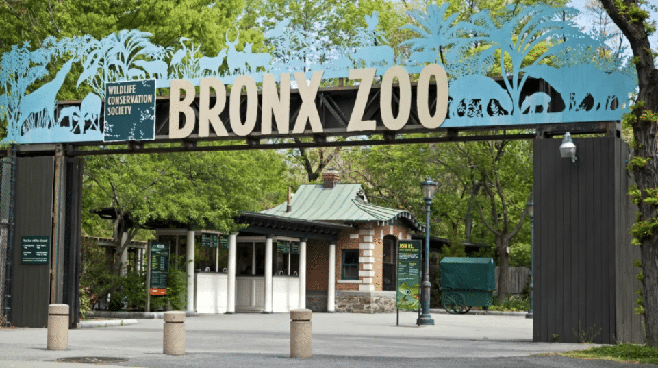 bronx zoo entrance