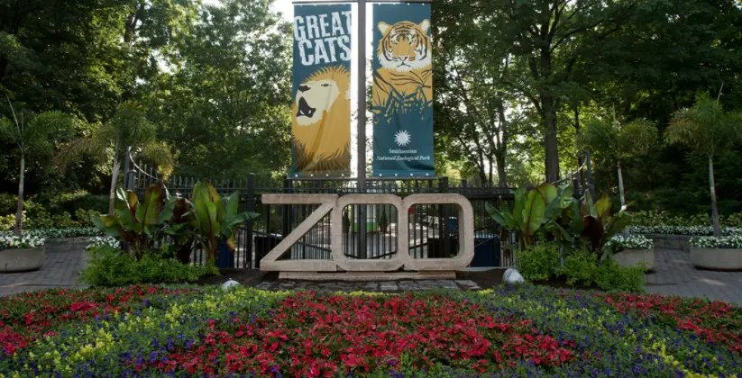 national zoo entrance