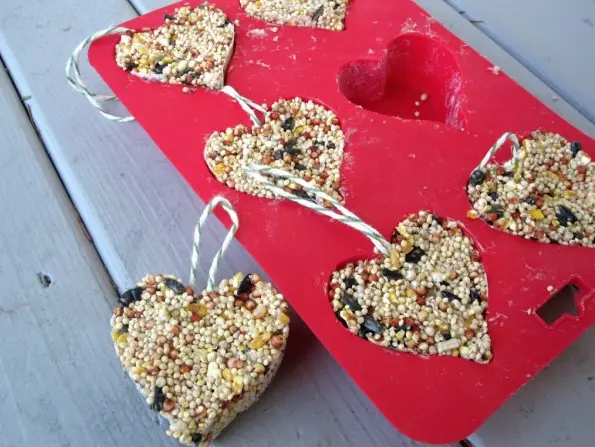 bird seed heart hangers