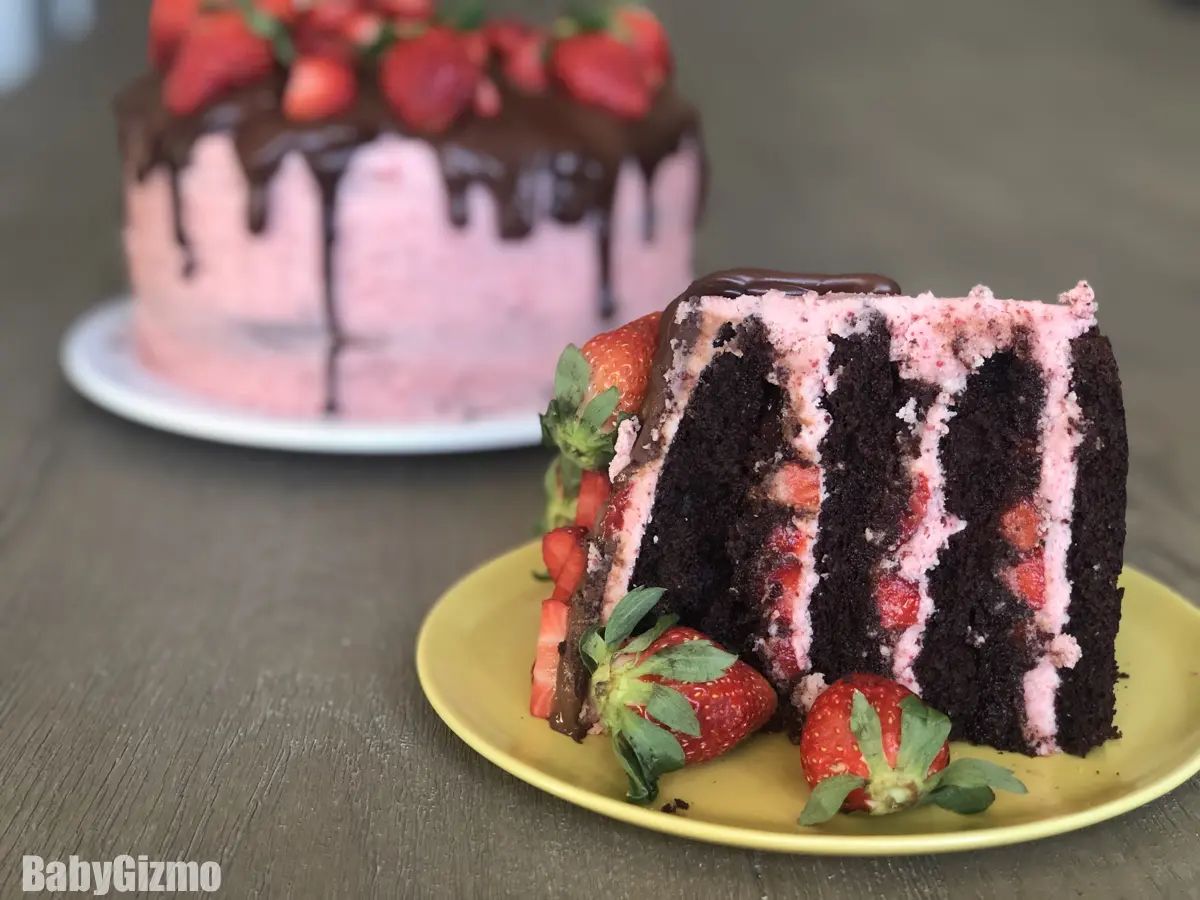 dark chocolate strawberry cake slice