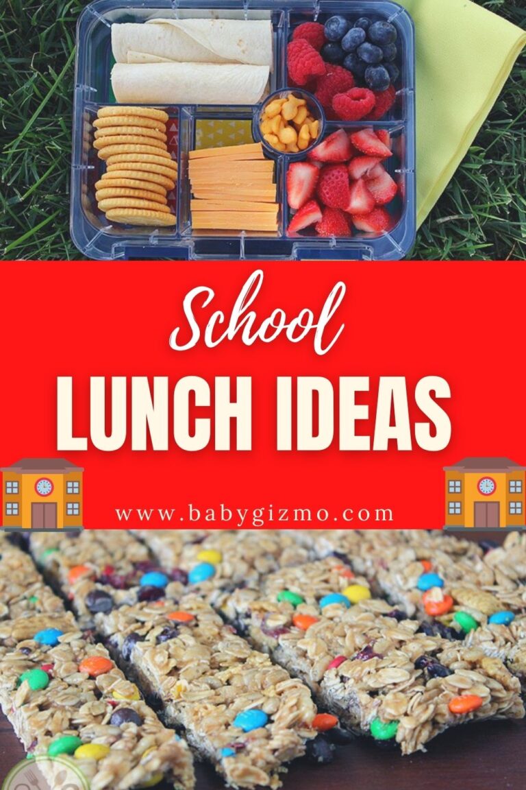 Back to School Lunch Ideas – | Baby Gizmo