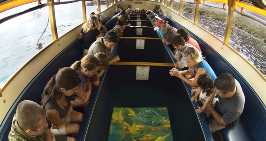 glass bottom boat tour in catalina island