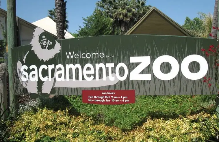 sacramento zoo