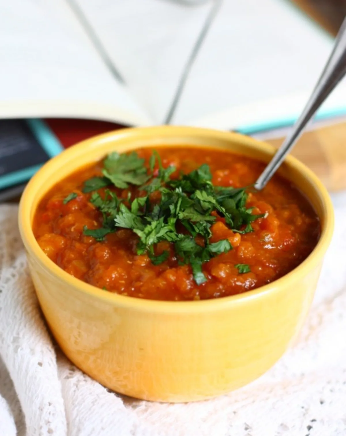 Chickpea, Butternut Squash, and Red Lentil Stew