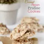 NO BAKE COCONUT PECAN PRALINE COOKIES