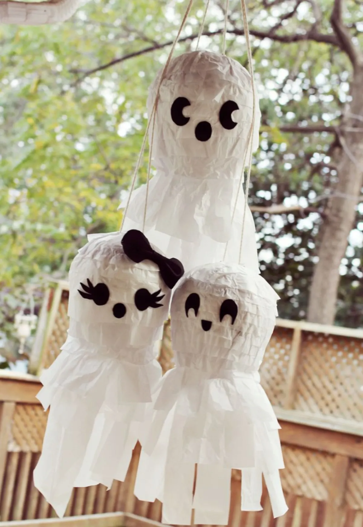 Ghost pinata Family