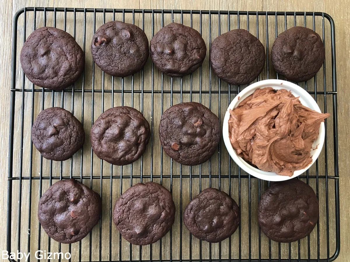 chocolate cookies with frosting