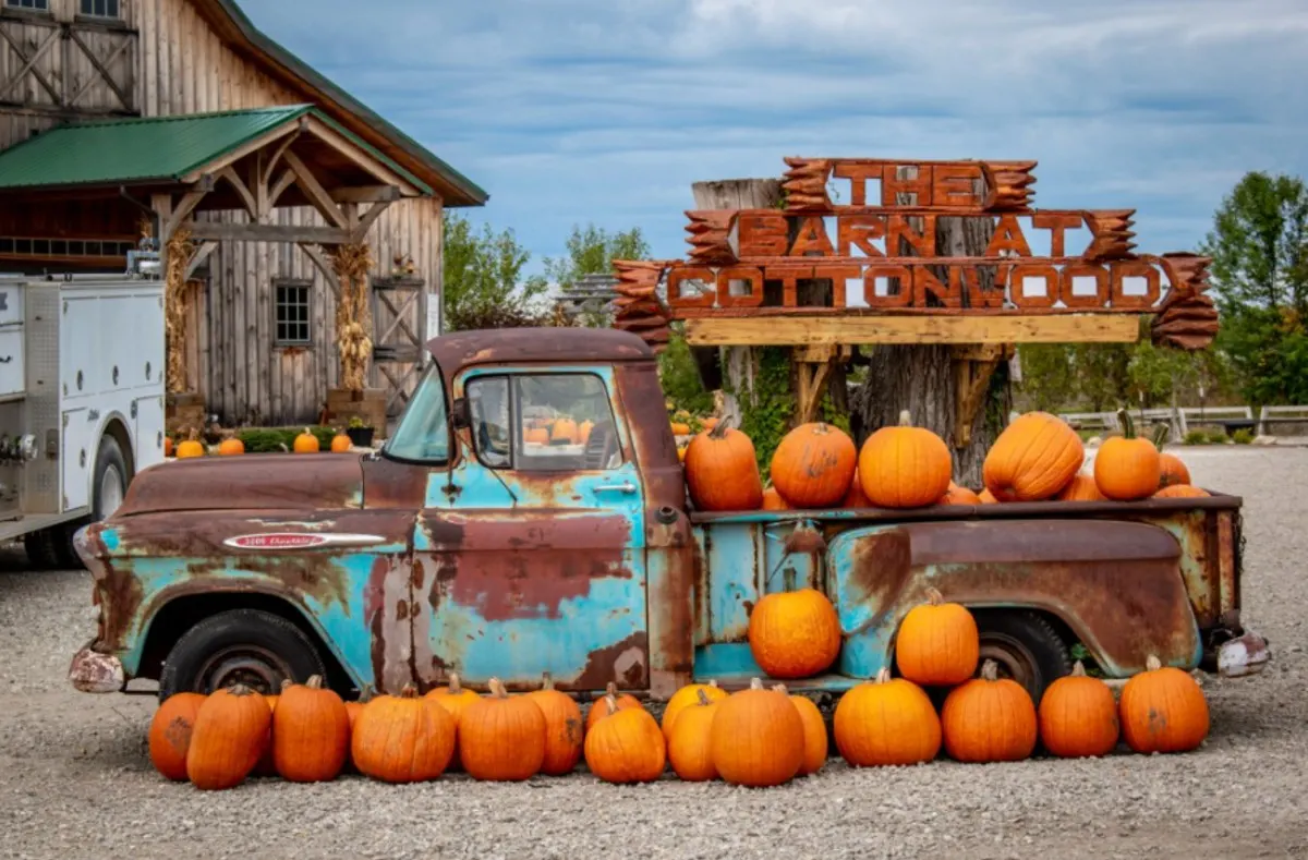 Cottonwood Farm in Crest Hill Illinois