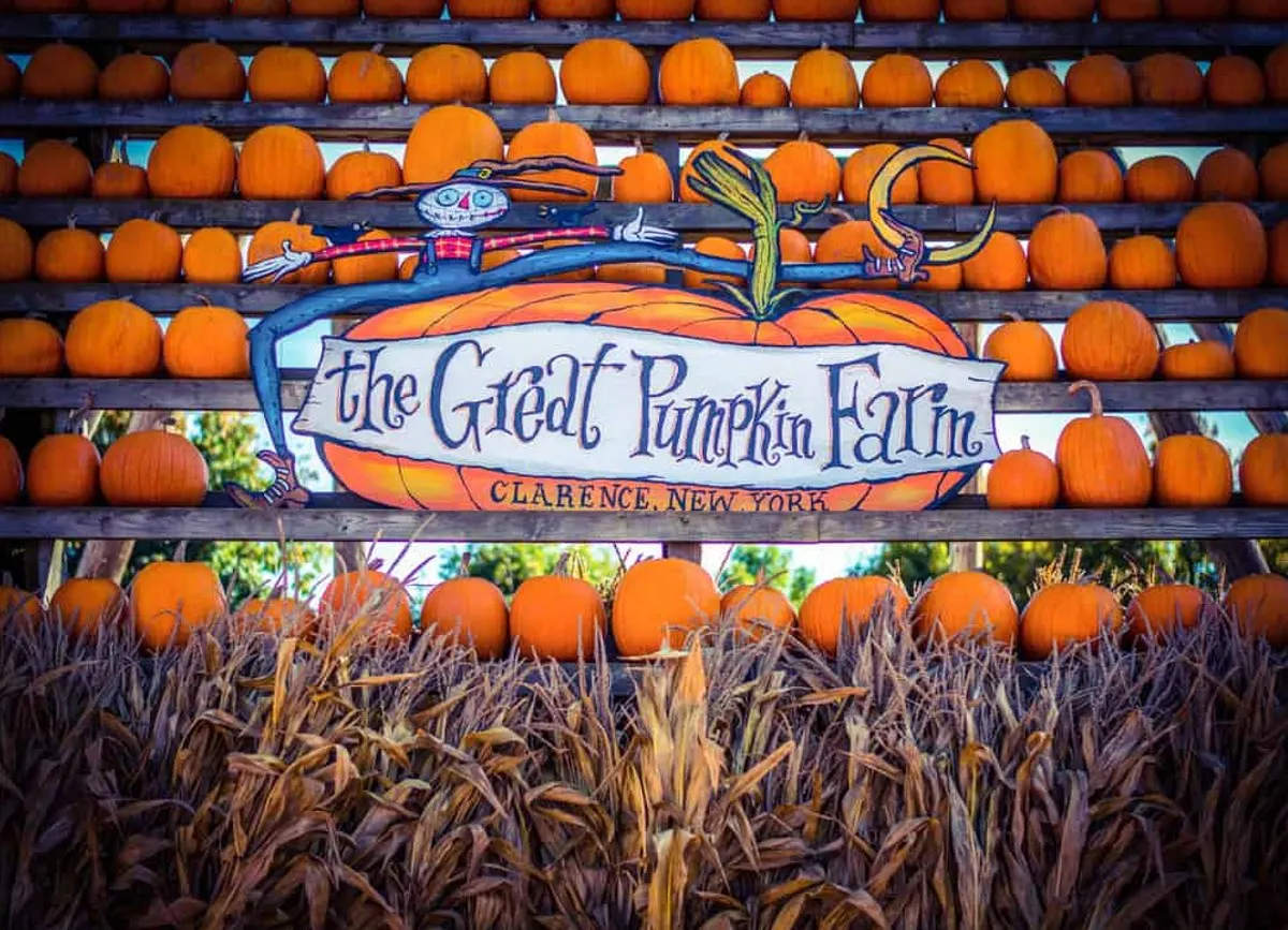 the great pumpkin farm in new york