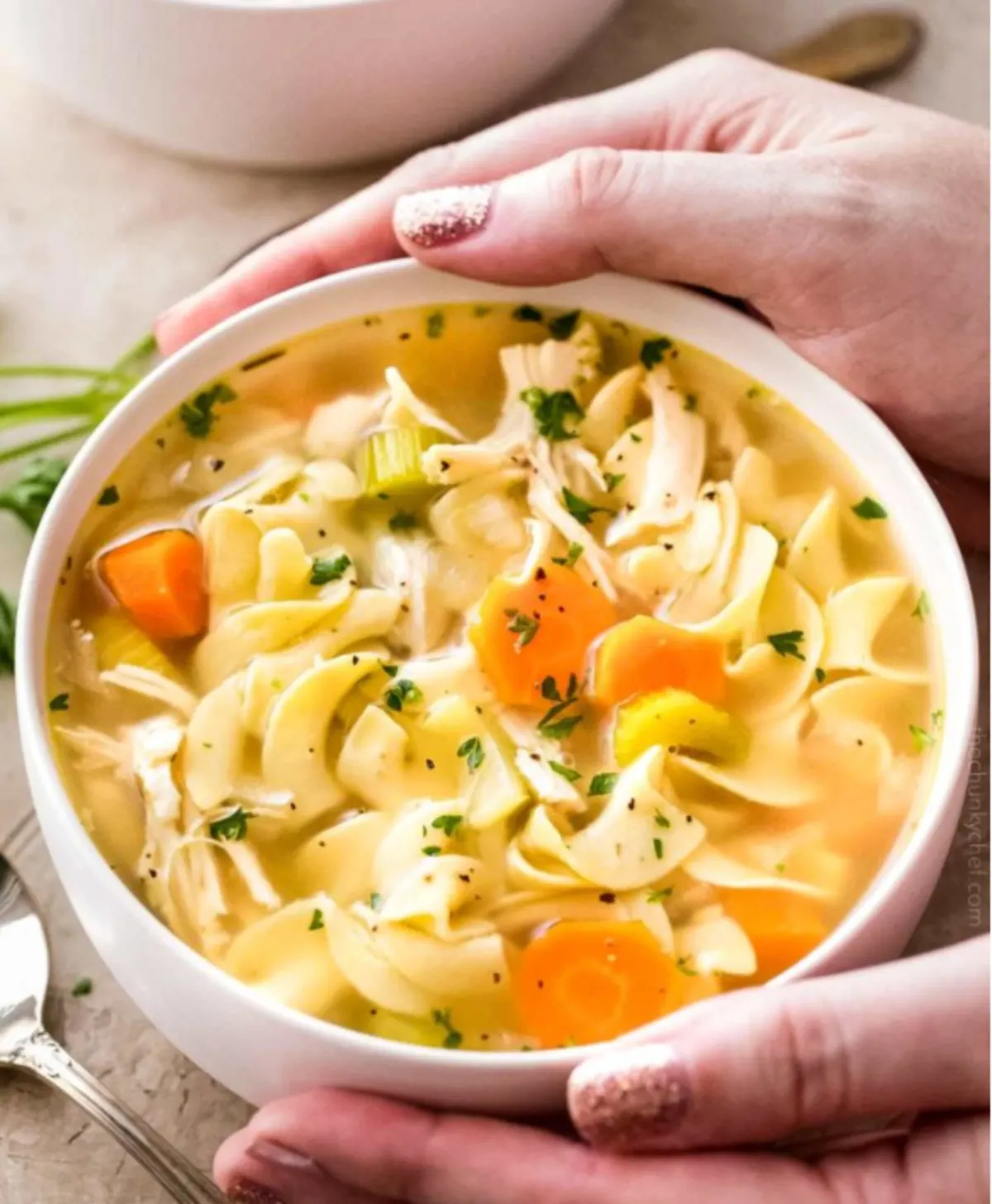 chicken noodle soup