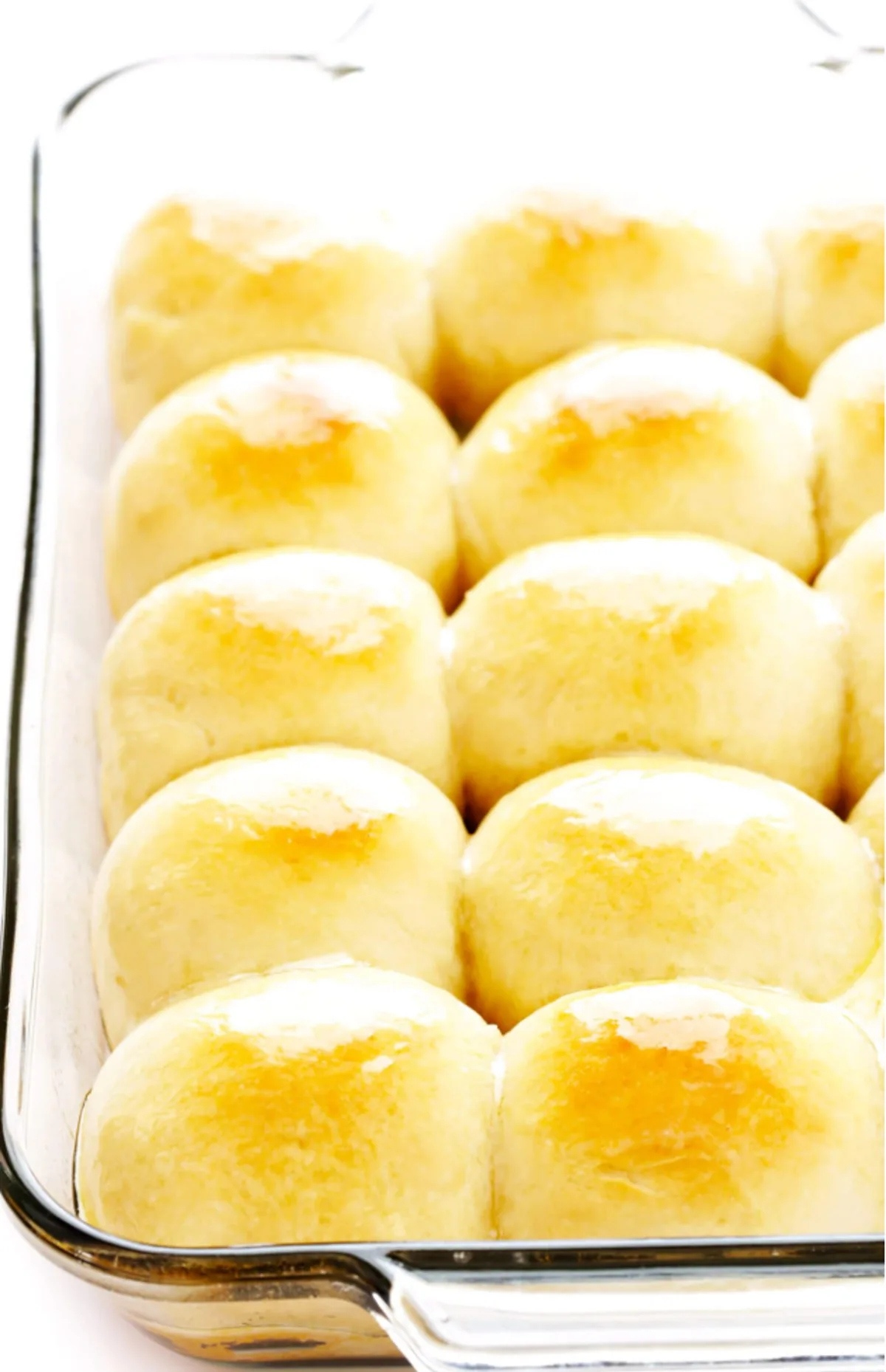 Dinner Rolls