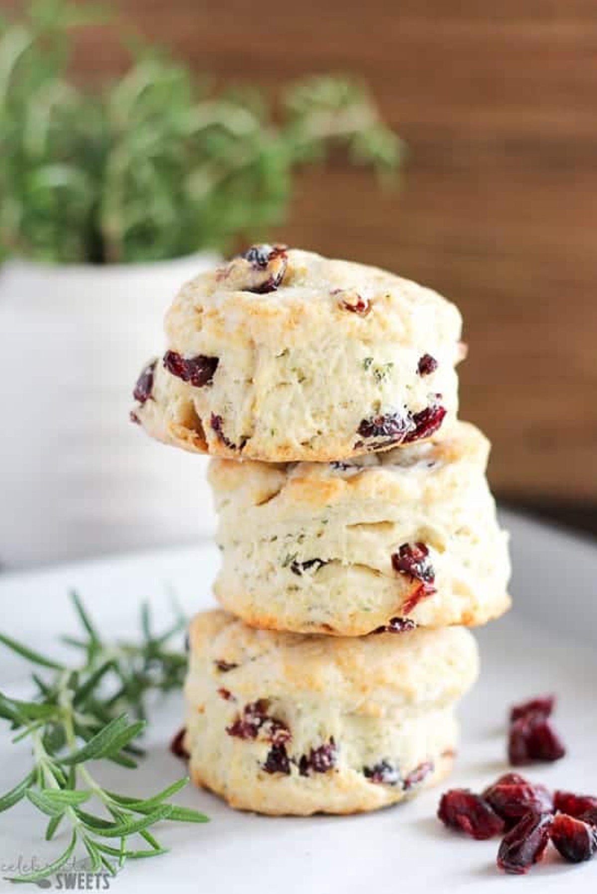 Rosemary and Dried Cranberry Biscuits