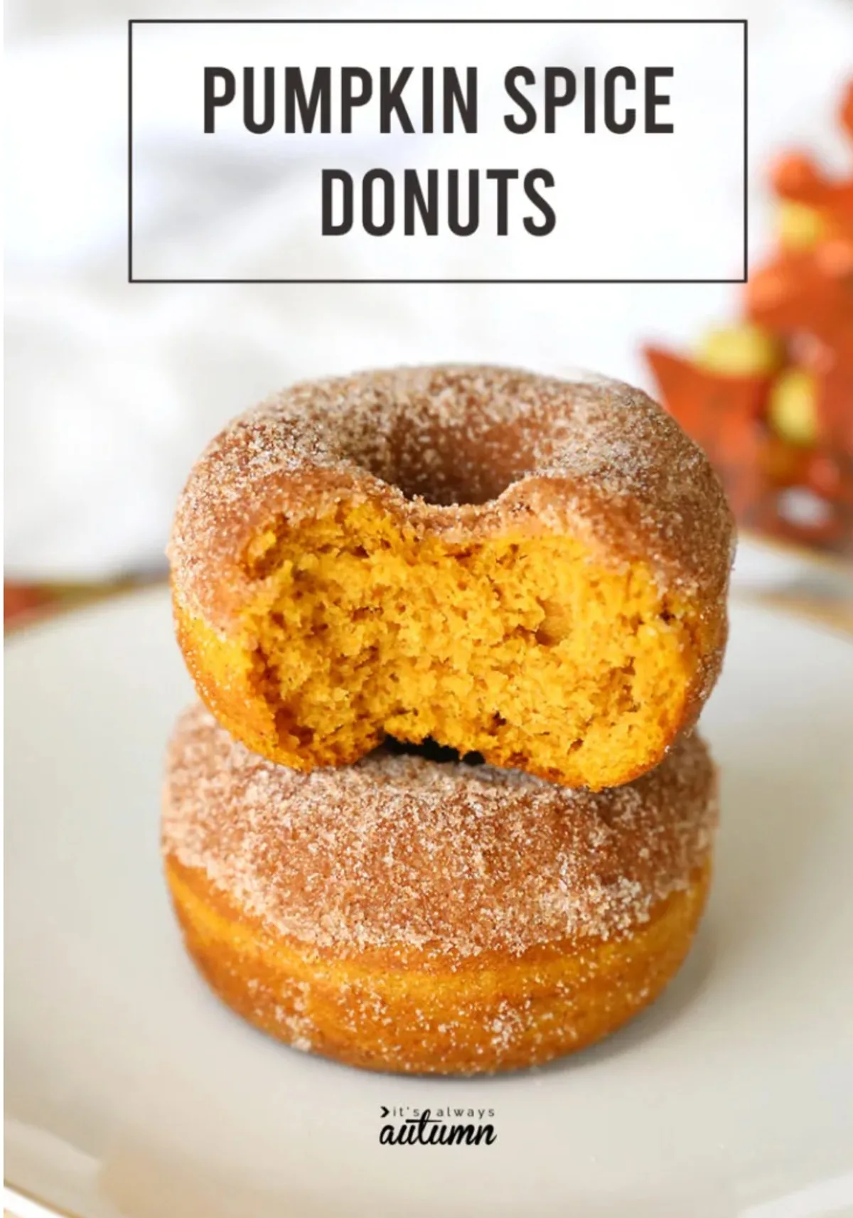 pumpkin spice donuts