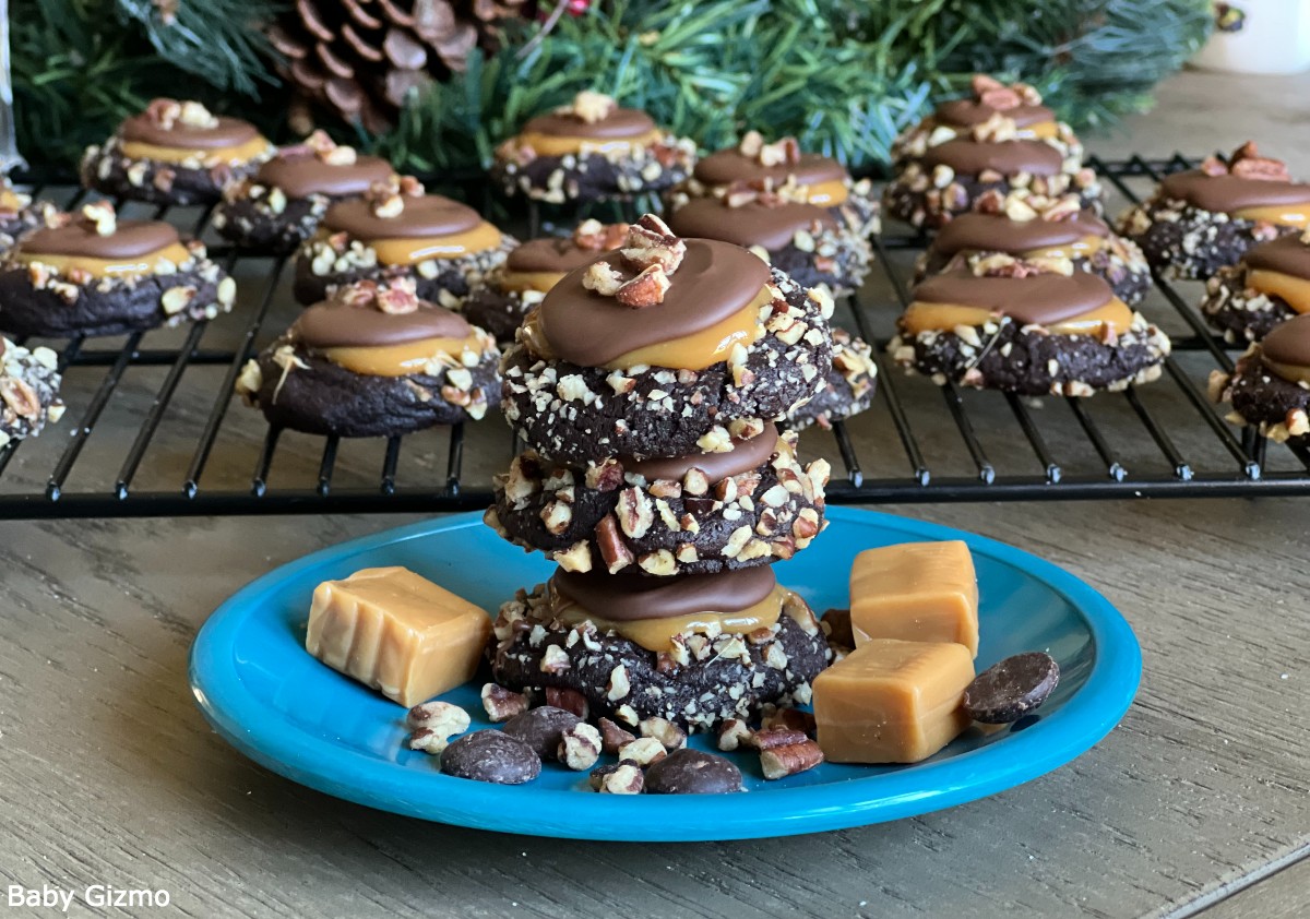 Stack of Turtle Cookies