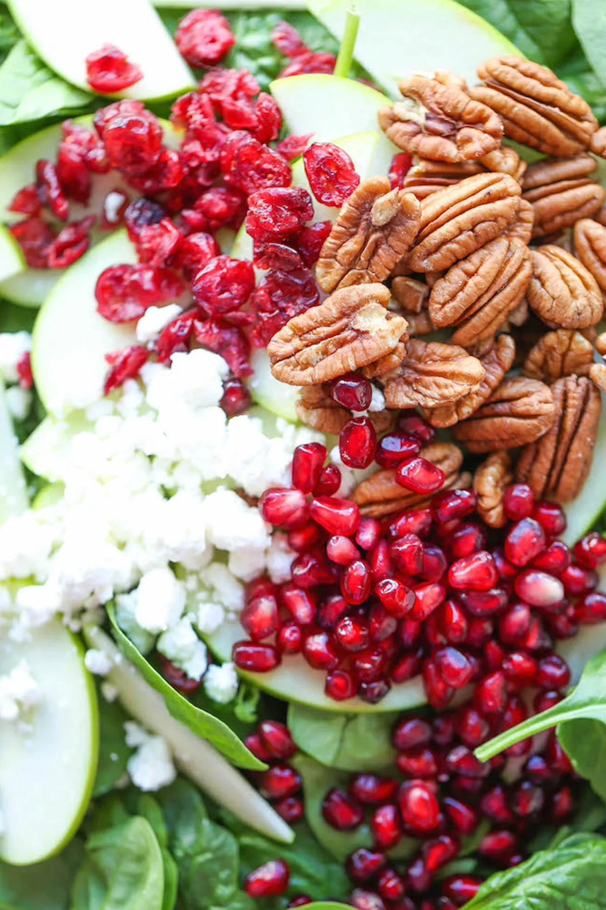 APPLE CRANBERRY PECAN SALAD