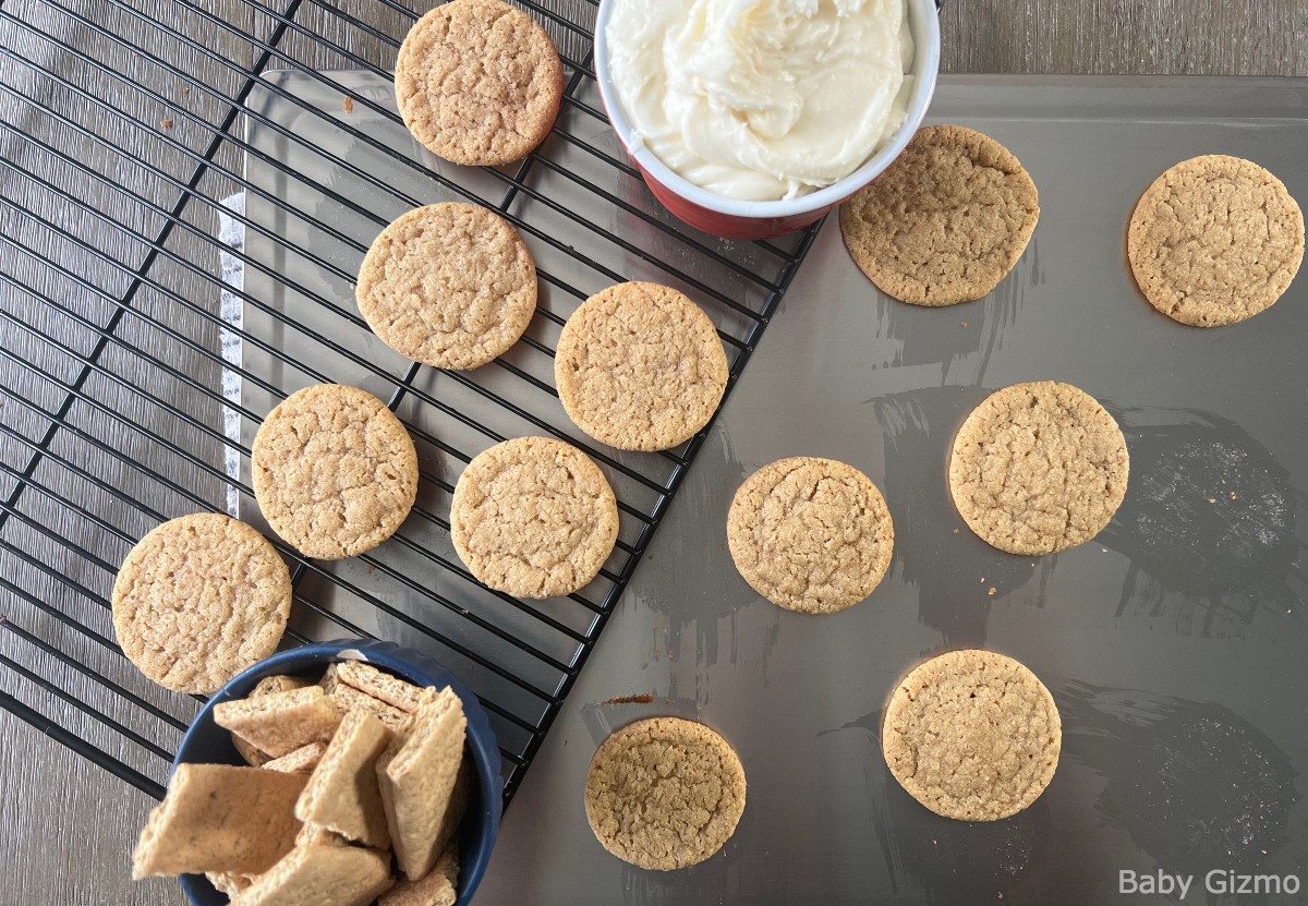 Frosted Graham Cracker Cookies