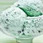 Mint Chip Ice Cream