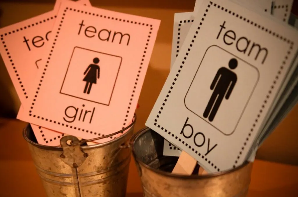 gender reveal ballots