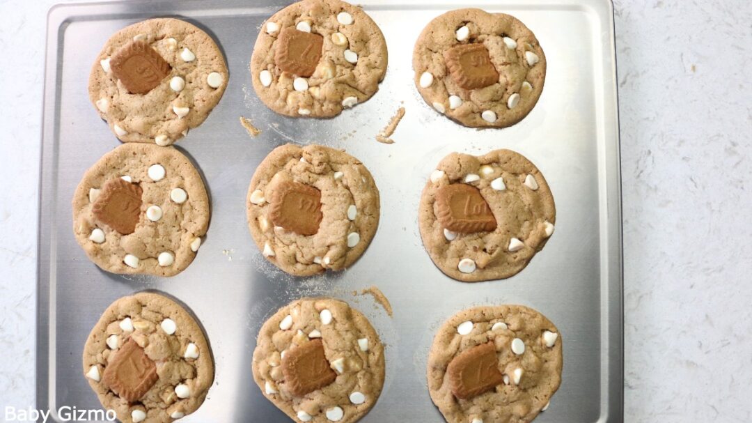 Crumbl Biscoff White Chocolate Chip Cookies Recipe Baby Gizmo