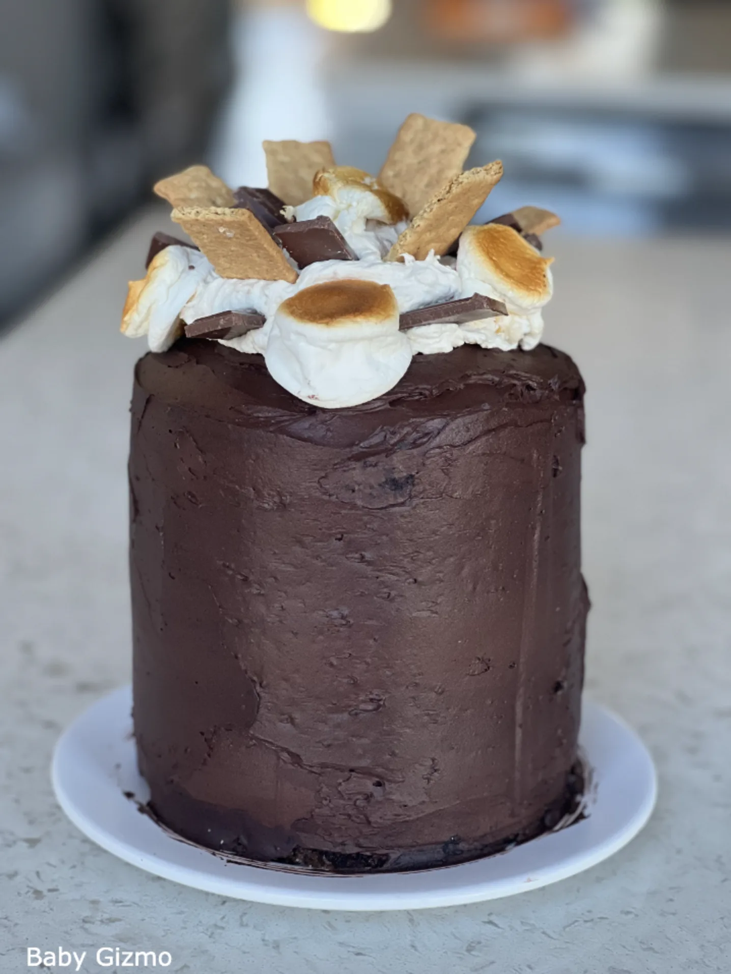 How to Make a Smores Cake