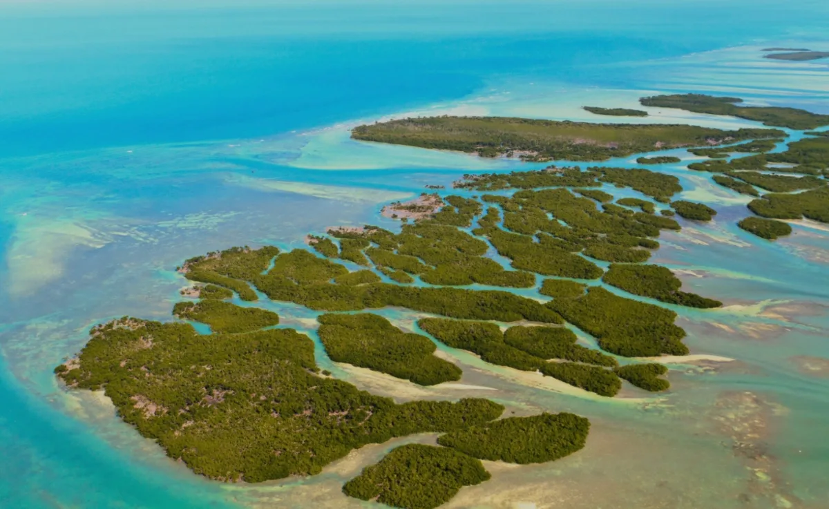 the florida keys