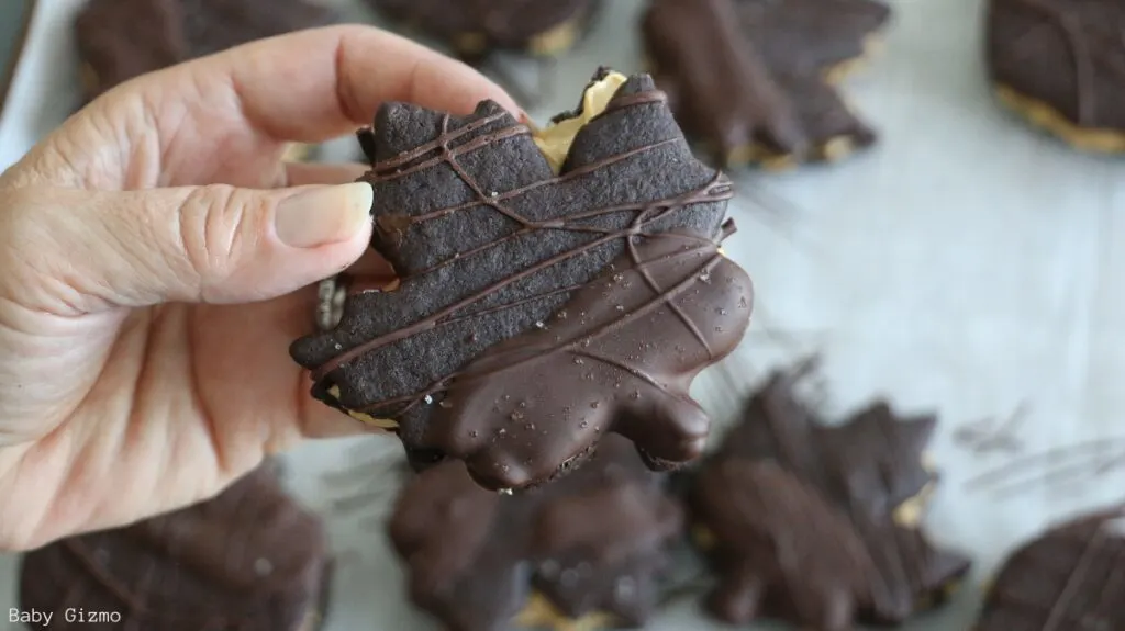 Autumn Chocolate Cookies