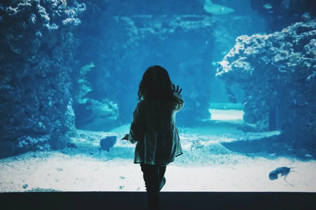 Ripleys Aquarium of the Smokies