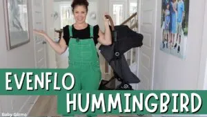 Evenflo hummingbird